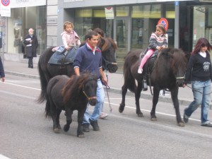 IMG_5357