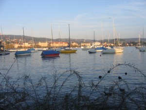 IMG_5473